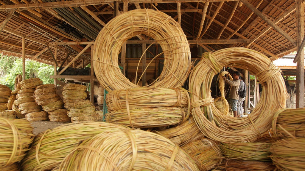 Cara Merawat Furnitur Rotan: Bisa Pakai Kamper untuk Hindari Rayap Cara Merawat Furnitur Rotan: Bisa Pakai Kamper untuk Hindari Rayap
