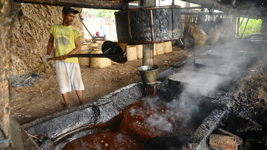 Petani Tebu Sebut Impor Bikin Swasembada Gula Kian Sulit Petani Tebu Sebut Impor Bikin Swasembada Gula Kian Sulit