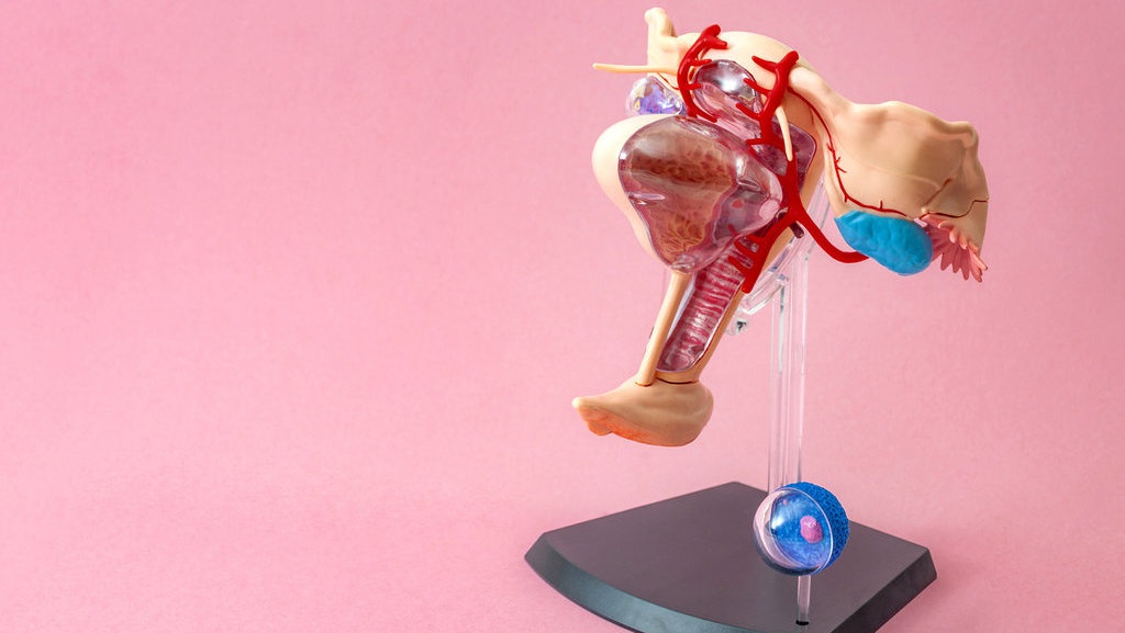 Minimnya Pendidikan Seksual Tingkatkan Angka Pernikahan Usia Anak