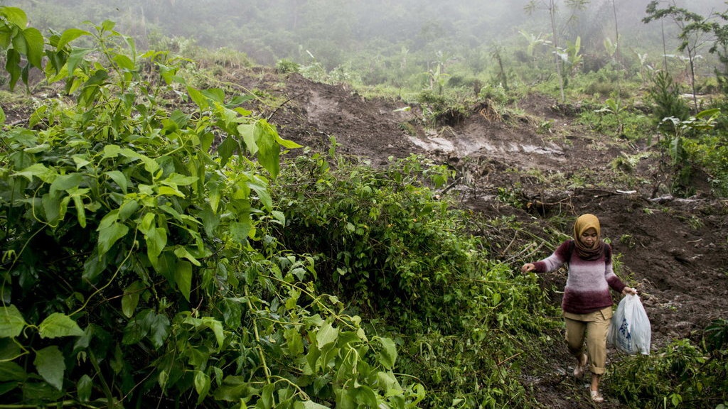 Tanah Longsor di Jember Sabtu Malam, Puluhan Warga Dievakuasi Tanah Longsor di Jember Sabtu Malam, Puluhan Warga Dievakuasi