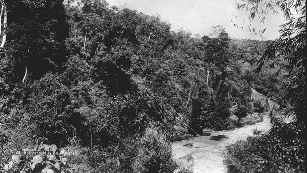 Sejak Raja Tarumanegara, Daerah Jakarta Sudah Jadi Langganan Banjir