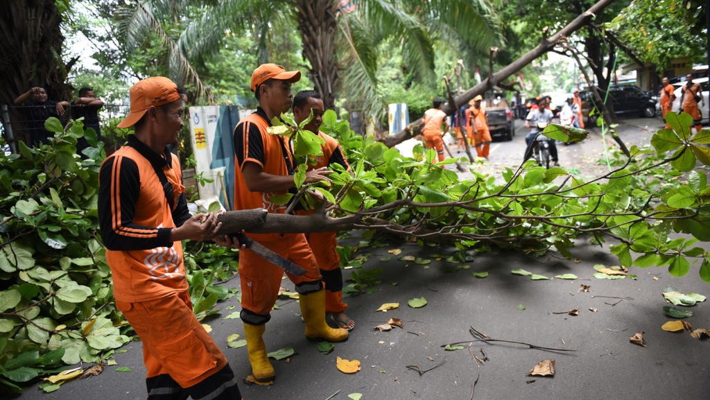 Kemendagri Tolak Alokasi Santunan Pohon Tumbang di APBD DKI 2019 Kemendagri Tolak Alokasi Santunan Pohon Tumbang di APBD DKI 2019