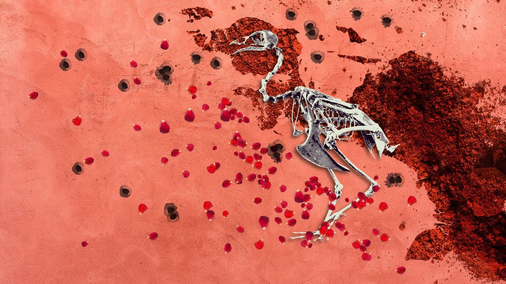 Nestapa Nduga Selama 2019: 37.000 Orang Mengungsi, 241 Orang Tewas Nestapa Nduga Selama 2019: 37.000 Orang Mengungsi, 241 Orang Tewas