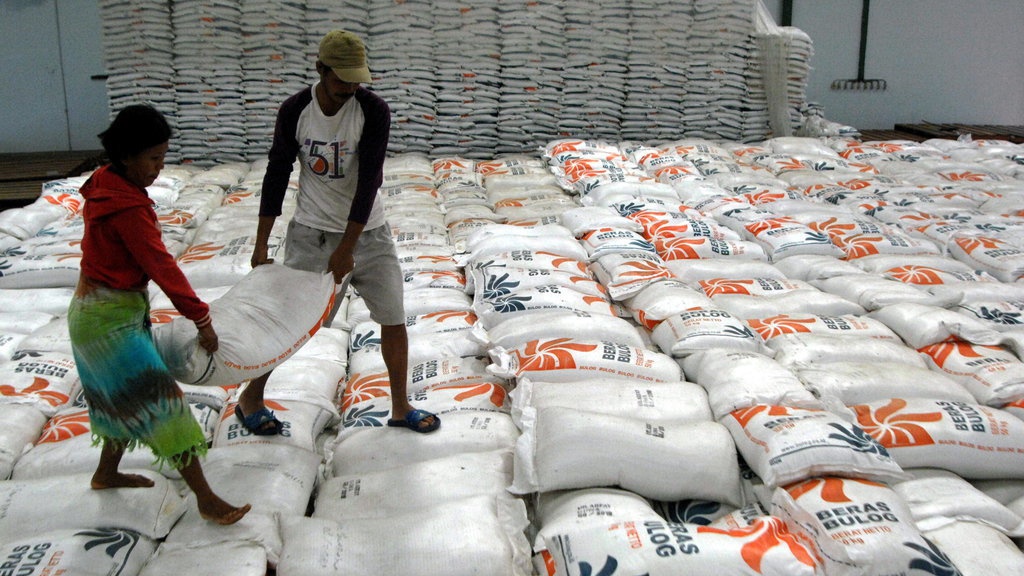 Bulog Musnahkan 20 Ribu Ton Beras: Karena Impor atau Salah Kelola?