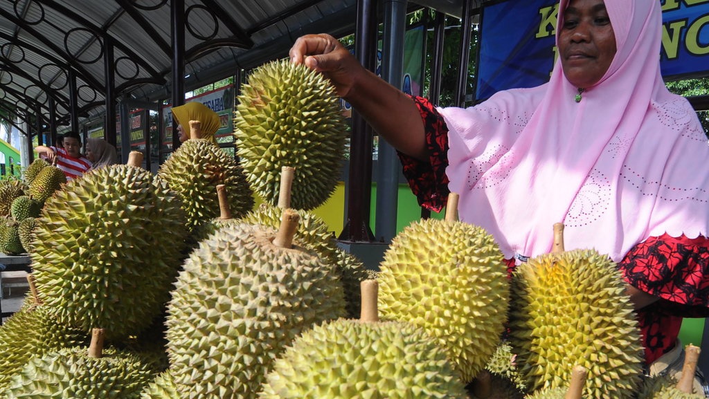 Waktu yang Tepat untuk Menanam dan Memanen Durian Waktu yang Tepat untuk Menanam dan Memanen Durian