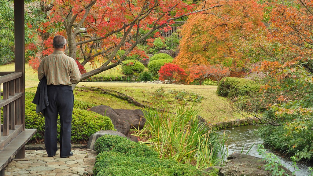 Tingkat Bunuh Diri Jepang Menurun Pada 2019, Lalu Tibalah Pandemi