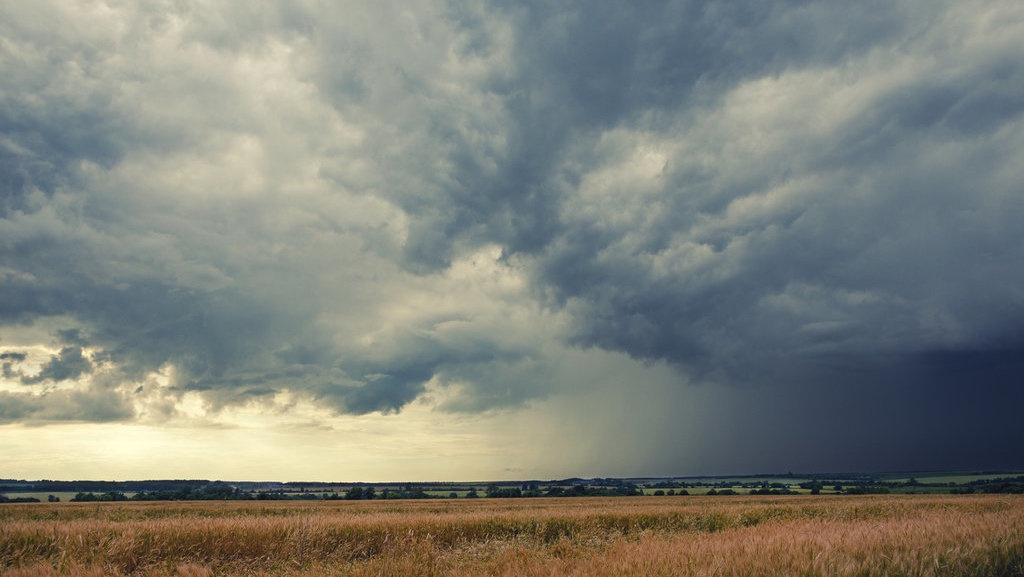 Apakah Kemarau Basah 2025 Melanda Indonesia? Cek Prediksi BMKG