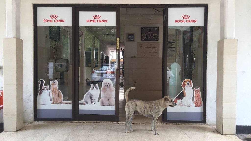 Keluarga Buduk di Pondok Pengayom Satwa Keluarga Buduk di Pondok Pengayom Satwa