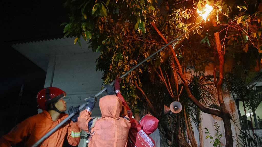 5 Cara Mengusir Tawon dari Rumah & Tips Mencegahnya Datang Lagi 5 Cara Mengusir Tawon dari Rumah & Tips Mencegahnya Datang Lagi