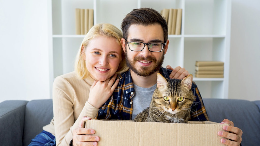 Sehat dan Bahagia dengan Mencintai Kucing Sehat dan Bahagia dengan Mencintai Kucing