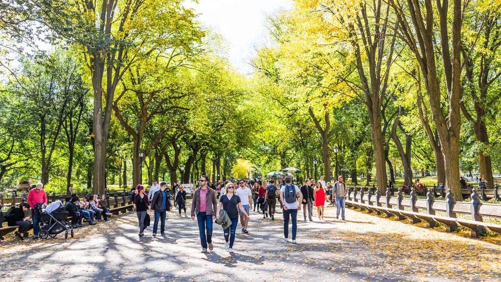 Cara Merayakan Hari Gerakan 1 Juta Pohon Demi Lingkungan Hidup Cara Merayakan Hari Gerakan 1 Juta Pohon Demi Lingkungan Hidup