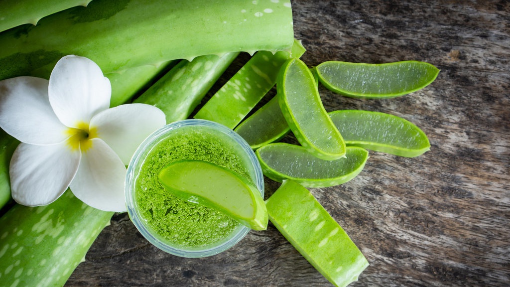 Daftar Bahan Alami Antimikroba untuk Melawan Kista Daftar Bahan Alami Antimikroba untuk Melawan Kista