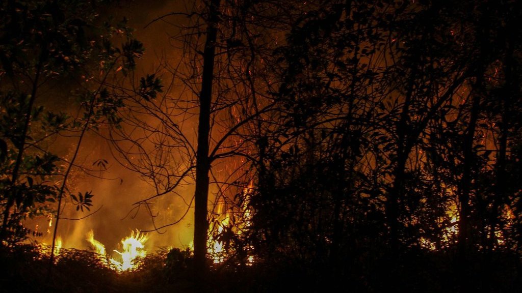 Kepala BNPB Terjunkan 1.500 Personil untuk Cegah Karhutla Riau Kepala BNPB Terjunkan 1.500 Personil untuk Cegah Karhutla Riau