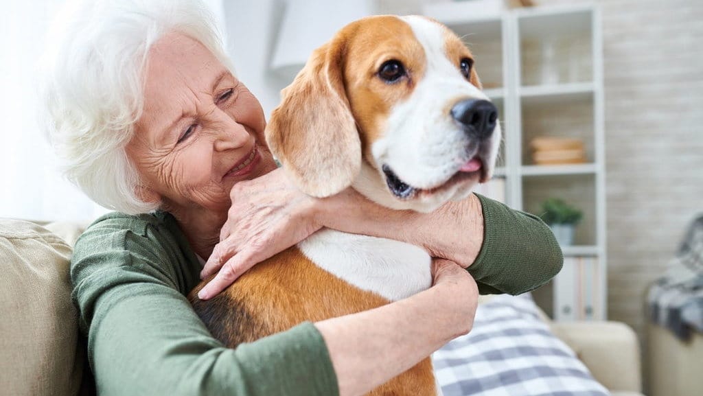 Studi: Punya Hewan Peliharaan Bisa Kurangi Risiko Penyakit Jantung