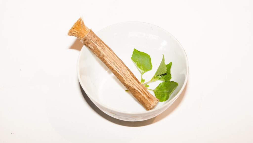 Siwak, Pembersih Gigi dari Kayu yang Dinilai Ungguli Sikat Gigi Siwak, Pembersih Gigi dari Kayu yang Dinilai Ungguli Sikat Gigi