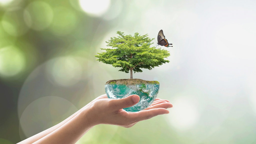 Apa Itu Go Green dan Bagaimana Cara Menerapkannya di Rumah?