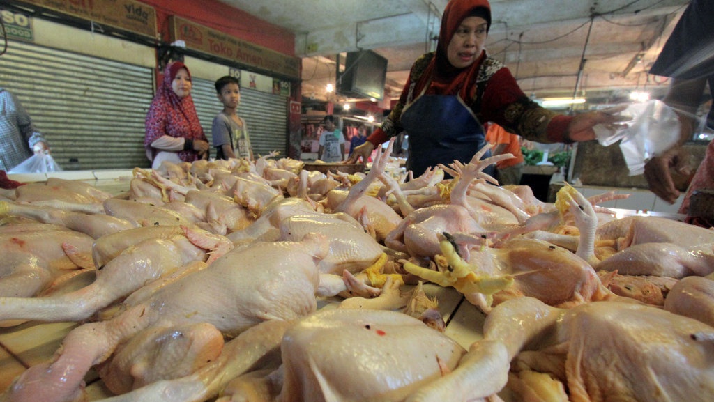 Peternak Keluhkan Harga Ayam yang Turun Drastis Usai Lebaran 2019 Peternak Keluhkan Harga Ayam yang Turun Drastis Usai Lebaran 2019