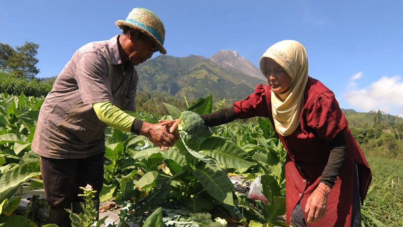 Resep Sayur Bening Brokoli dan Manfaatnya bagi Kesehatan Resep Sayur Bening Brokoli dan Manfaatnya bagi Kesehatan
