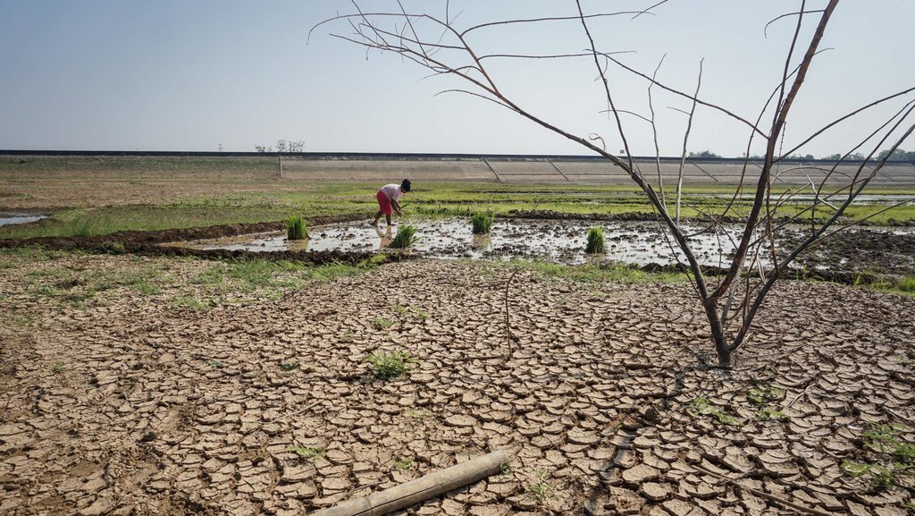 BMKG Sebut Sejumlah Daerah Berpotensi Alami Kekeringan