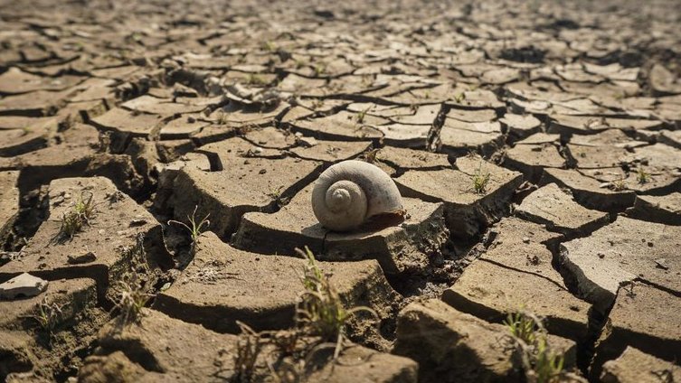 2.809 Warga Jadi Korban Kekeringan 12 Desa di Kabupaten Purbalingga 2.809 Warga Jadi Korban Kekeringan 12 Desa di Kabupaten Purbalingga