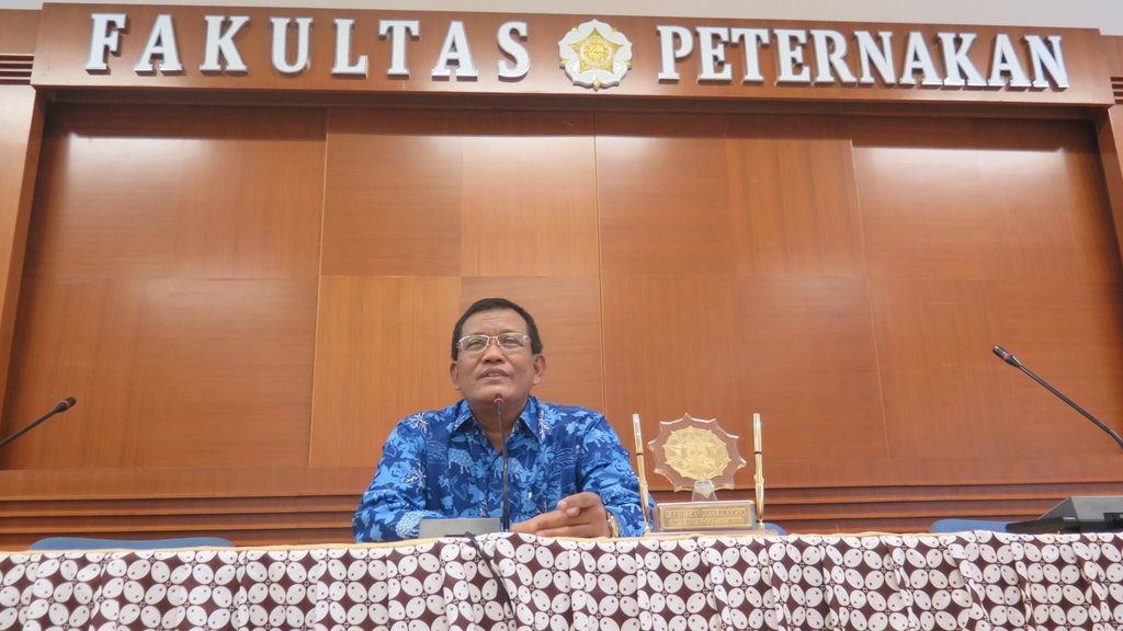 Seruan UGM untuk Penyelamatan Peternak Ayam yang Terancam Bangkrut Seruan UGM untuk Penyelamatan Peternak Ayam yang Terancam Bangkrut