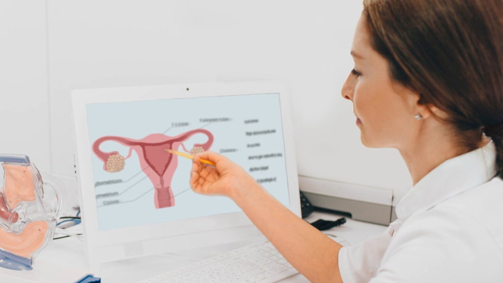 Penyebab Rasa Nyeri pada Organ Kewanitaan saat Bercinta