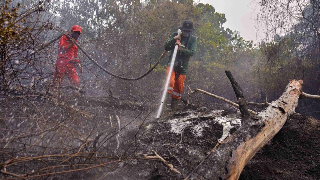 Konservasi Tesso Nilo, Antara Pemulihan Alam dan Konflik Sosial Konservasi Tesso Nilo, Antara Pemulihan Alam dan Konflik Sosial