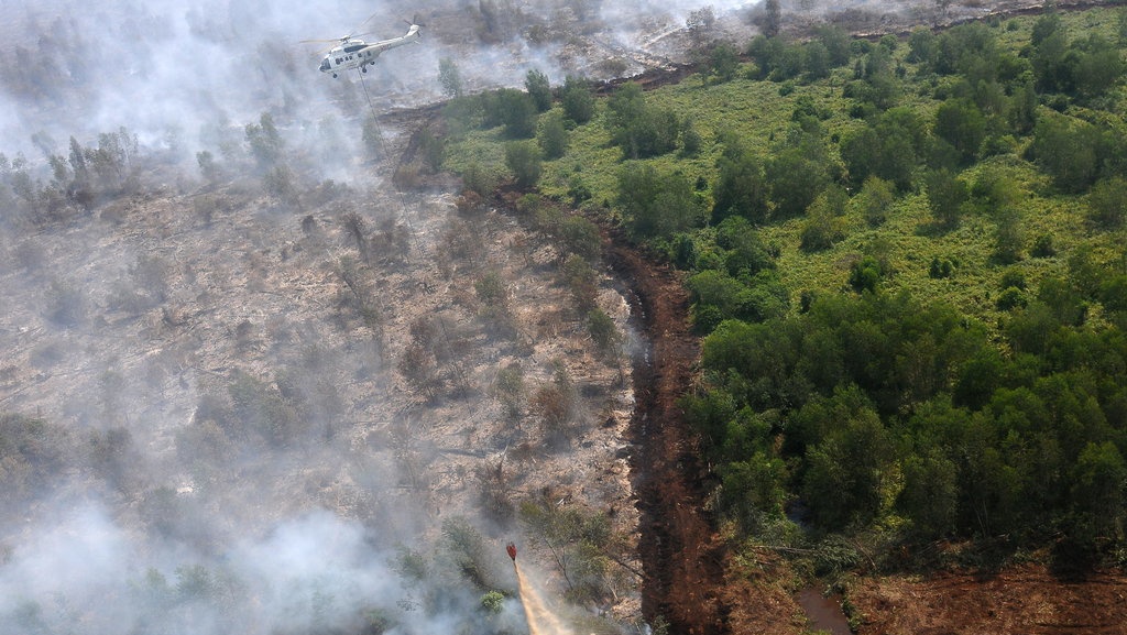 Wiranto: Penanganan Karhutla Tak Hanya Tanggung Jawab Pusat Wiranto: Penanganan Karhutla Tak Hanya Tanggung Jawab Pusat
