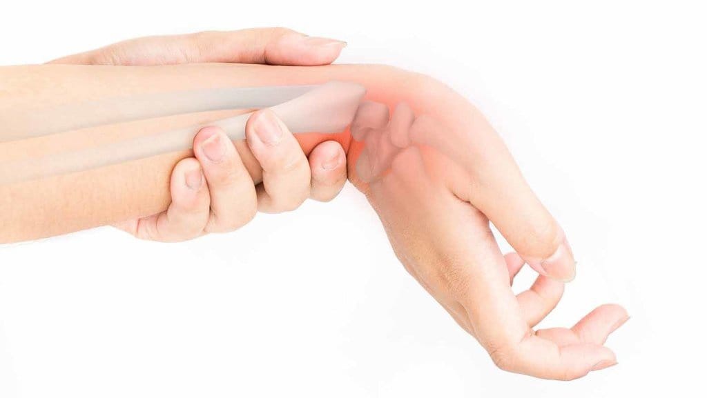 Struktur Rangka Manusia & Fungsinya: Jenis Tulang, Kartilago-Osteon Struktur Rangka Manusia & Fungsinya: Jenis Tulang, Kartilago-Osteon