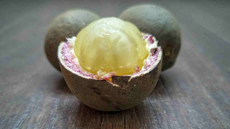 Ketahui Manfaat Buah Matoa: Ringankan Stres, Kurangi Risiko Kanker Ketahui Manfaat Buah Matoa: Ringankan Stres, Kurangi Risiko Kanker