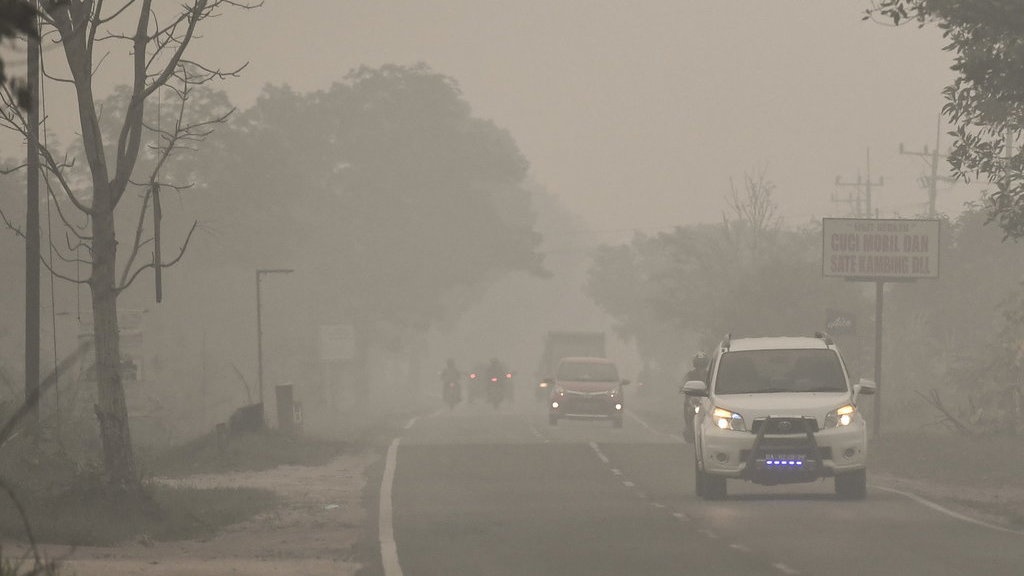 Saat Kabut Asap Pekat, Pemerintah Malah Kampanye 'Sawit Baik'