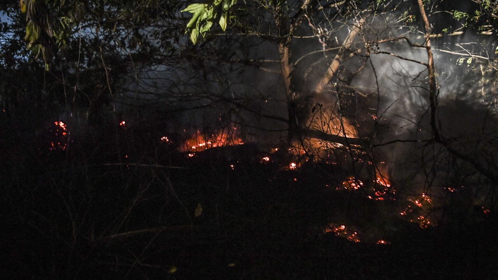Selidiki Karhutla, Lahan Sawit di Kalimantan Barat Disegel Polda