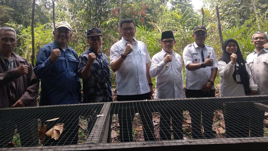 Cegah Karhutla, Badan Restorasi Gambut Ajak Warga Ternak Lebah