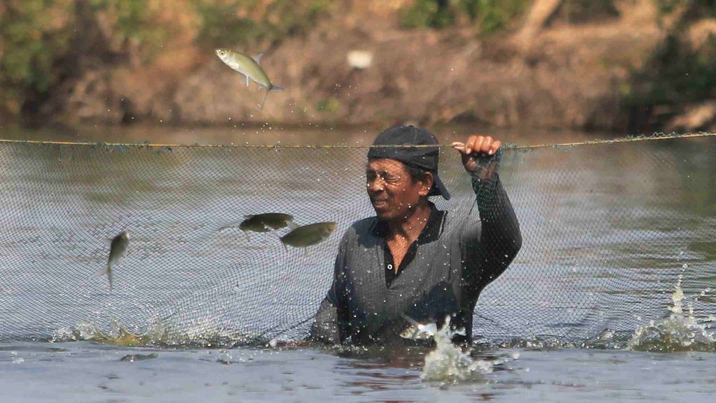 Petambak Bandeng di Jepara Rugi Rp130 Juta akibat Banjir Rob Petambak Bandeng di Jepara Rugi Rp130 Juta akibat Banjir Rob