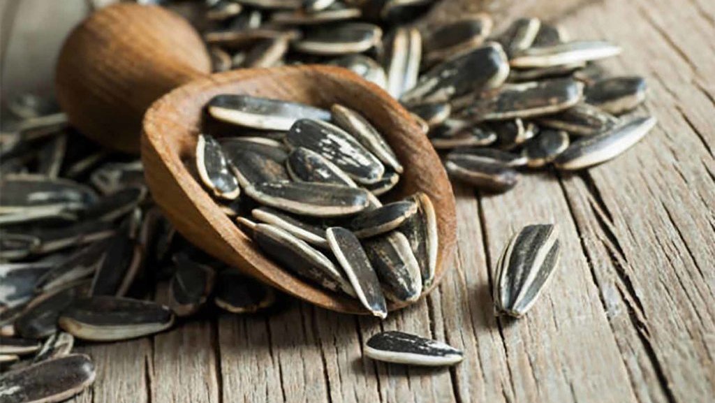 Ragam Manfaat Konsumsi Kuaci Bunga Matahari & Kandungan Gizinya