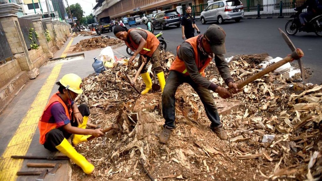 Anies Baswedan Dikecam Usai Penebangan Pohon Pengisap Polusi