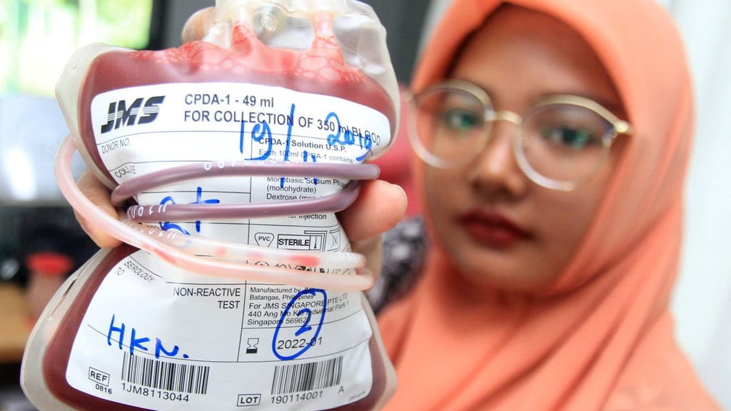 Ucapan Hari Palang Merah Internasional 2023 dalam Bahasa Inggris Ucapan Hari Palang Merah Internasional 2023 dalam Bahasa Inggris