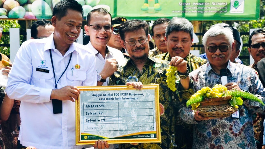 Anggur Jan Ethes SP1 dan Penjelasan di Balik Nama Ilmiah Spesies