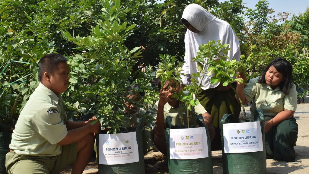 Hari Gerakan Sejuta Pohon & Hemat Energi dengan Menanam Hari Gerakan Sejuta Pohon & Hemat Energi dengan Menanam