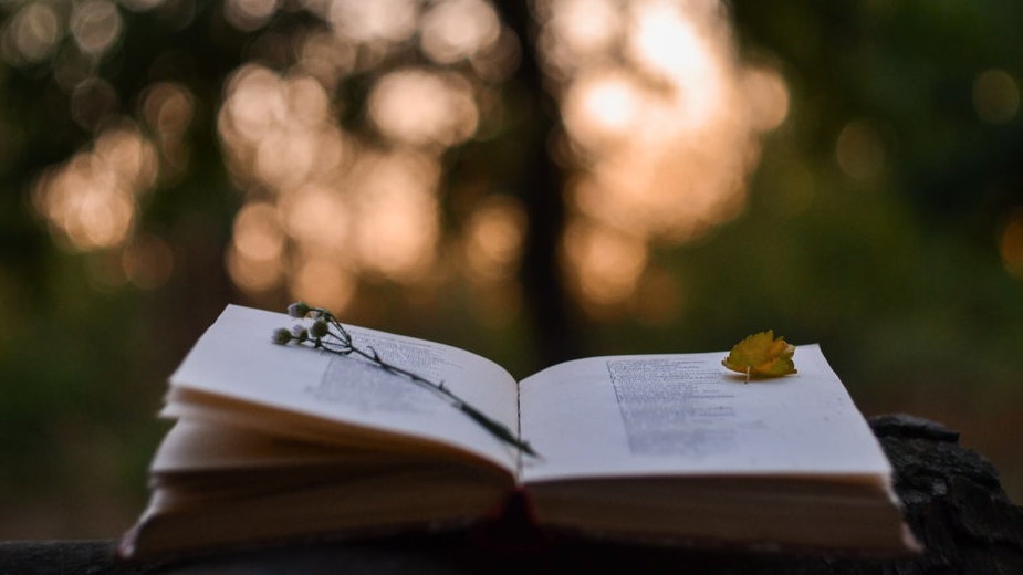 10 Contoh Geguritan Bahasa Jawa tema Pendidikan, Guru, Alam