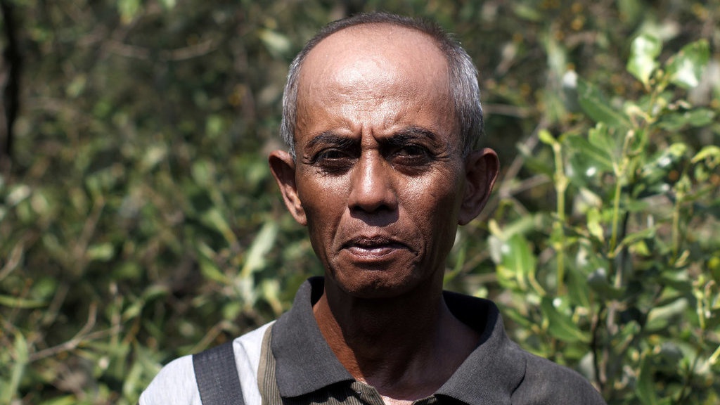 Sururi, 'Kiai' Bakau dari Pesisir Semarang Sururi, 'Kiai' Bakau dari Pesisir Semarang