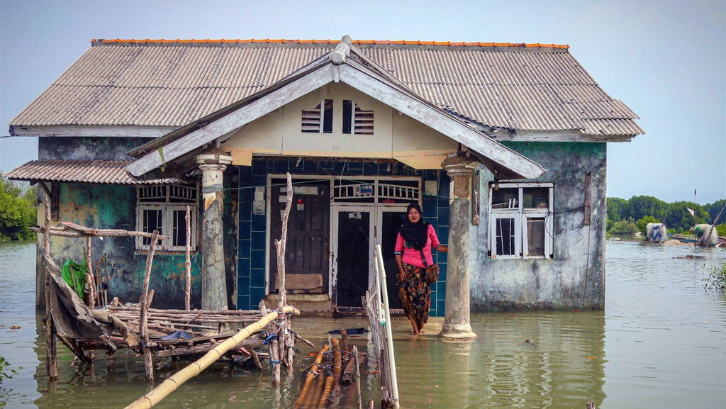 Abrasi di Pantura: Berkukuh Diterjang Ombak Abrasi di Pantura: Berkukuh Diterjang Ombak