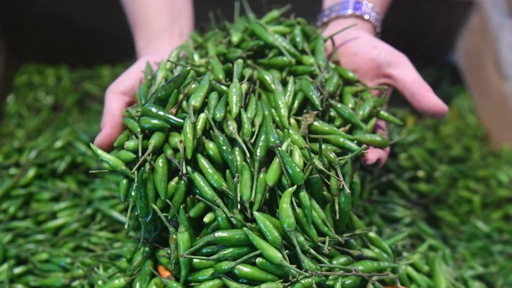 Mengenal Inflasi dalam Ekonomi: Pengertian, Sebab & Jenis-Jenisnya Mengenal Inflasi dalam Ekonomi: Pengertian, Sebab & Jenis-Jenisnya