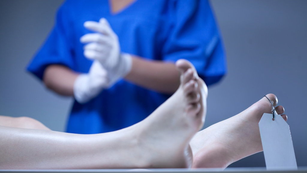 Mantri Suntik Mati Kades di Serang, Apa Itu Mantri, dan Tugasnya Mantri Suntik Mati Kades di Serang, Apa Itu Mantri, dan Tugasnya