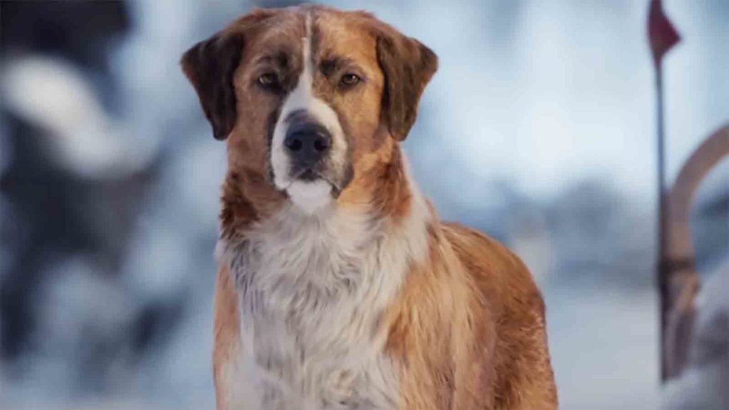 Sinopsis The Call of the Wild, Film yang Tayang Bioskop Hari Ini