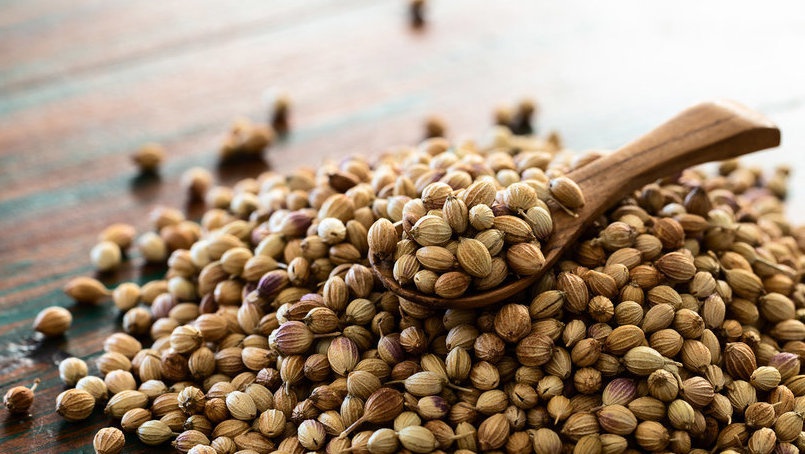 Ketahui Manfaat Ketumbar: Antioksidan hingga Perkuat Imun Tubuh Ketahui Manfaat Ketumbar: Antioksidan hingga Perkuat Imun Tubuh