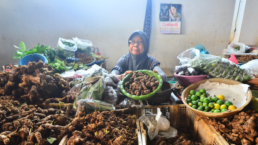 Amburadul Tata Niaga Jahe: Produksi Surplus tapi Impor Jalan Terus Amburadul Tata Niaga Jahe: Produksi Surplus tapi Impor Jalan Terus