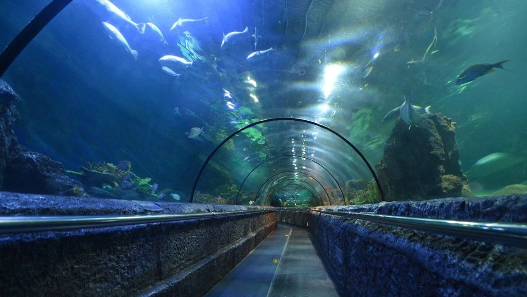 Klarifikasi Ancol soal Terima Pengunjung meski Operasional Tutup Klarifikasi Ancol soal Terima Pengunjung meski Operasional Tutup