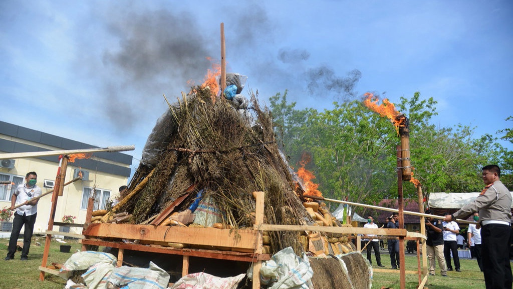 Sempat Viral, Mentan SYL Cabut Aturan Ganja sebagai Obat Binaan