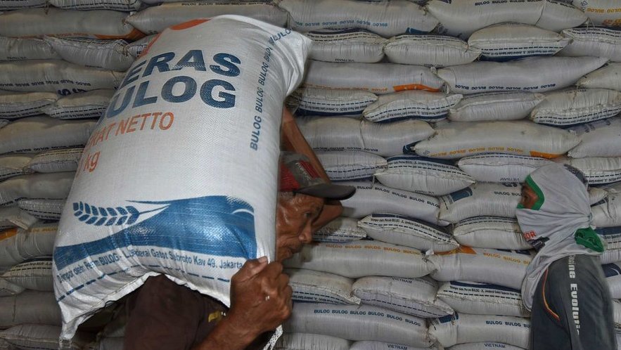 Viral Pekerja Bulog Mandi Beras Impor, Manajemen: Pelaku Dipecat Viral Pekerja Bulog Mandi Beras Impor, Manajemen: Pelaku Dipecat